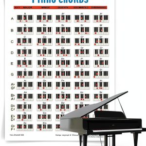 Walrus Piano Chords Poster Musical Instruments-0
